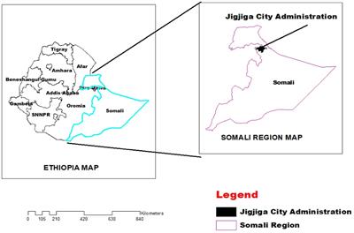 Determination of prevalence of subclinical mastitis, characterization of intra-mammary infection-causing bacteria, and antibiotic susceptibility in dairy camels in Jigjiga City, Somali region, Ethiopia